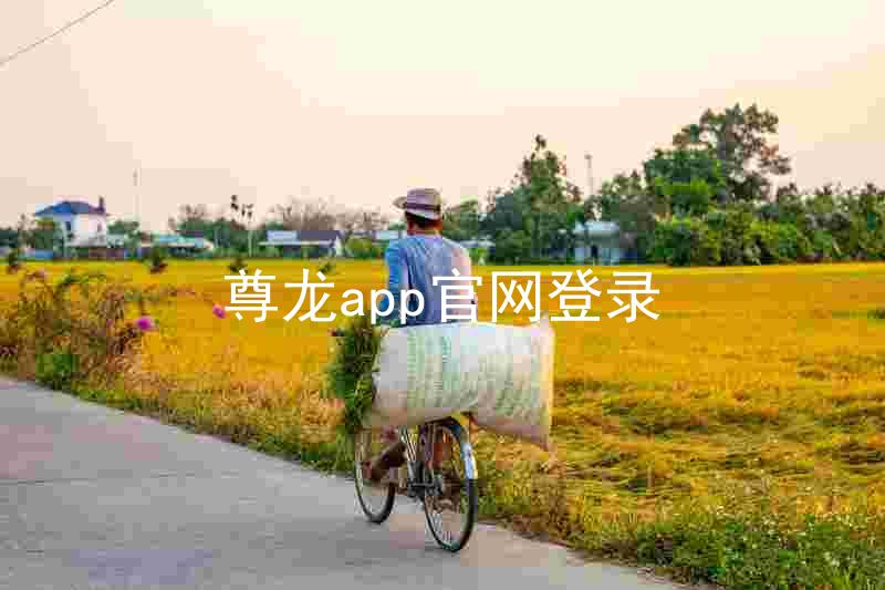 尊龙app官网登录
