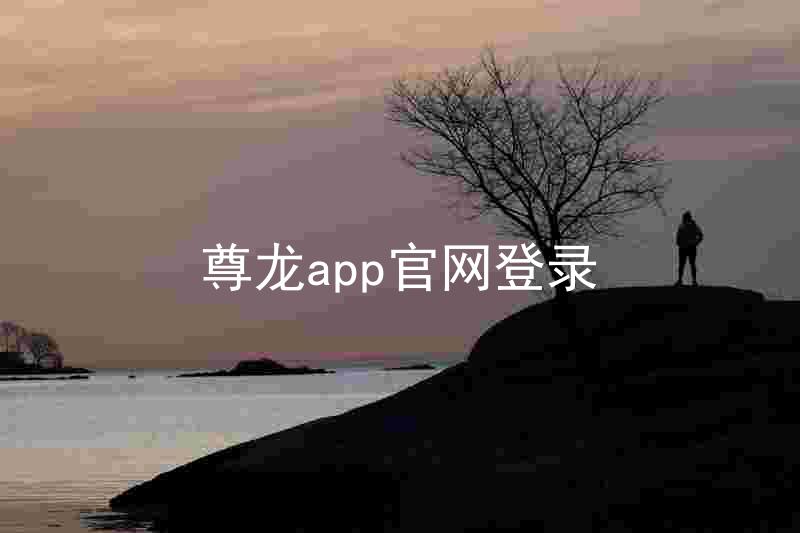 尊龙app官网登录