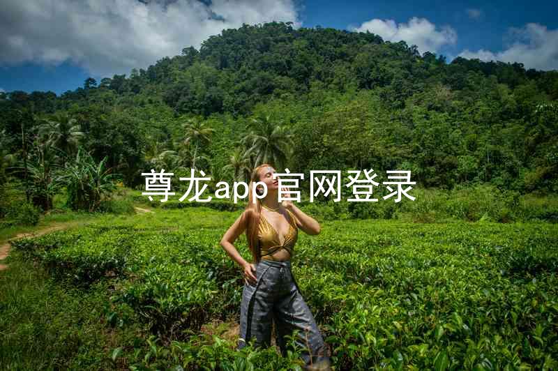 尊龙app官网登录