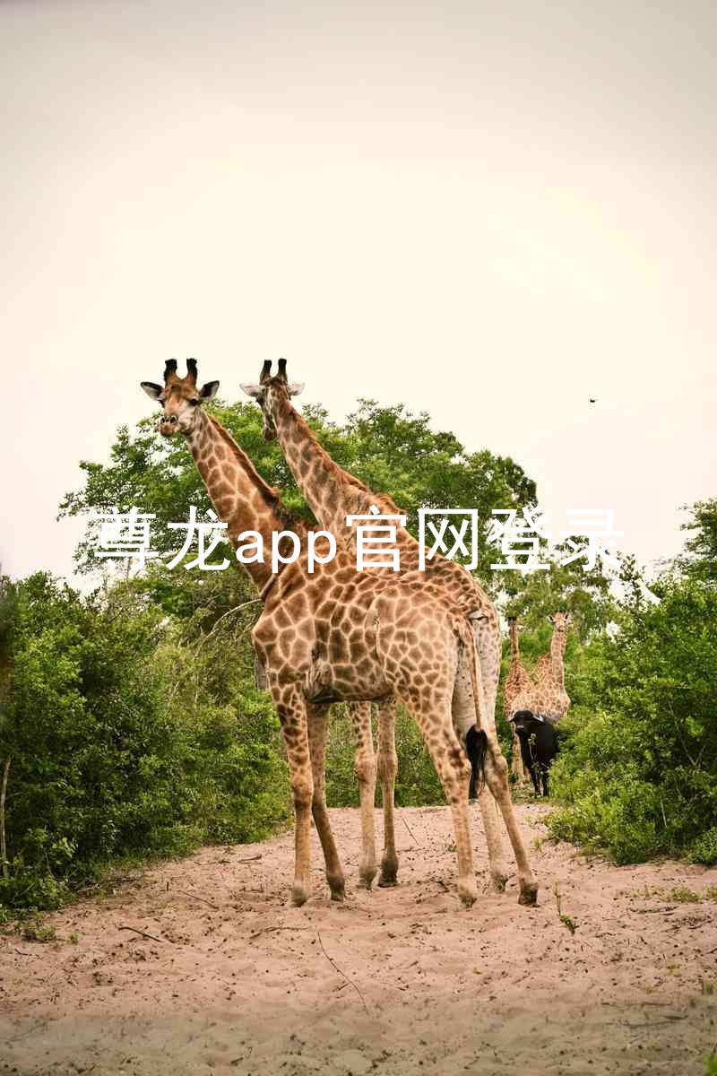 尊龙app官网登录