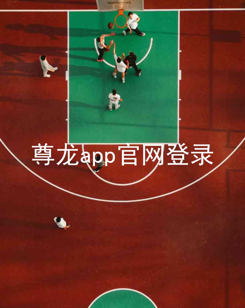 尊龙app官网登录