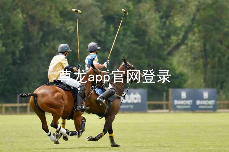 尊龙app官网登录